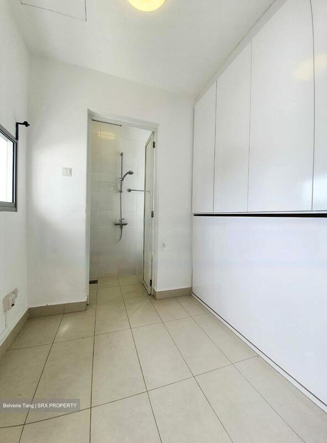 Nassim Regency (D10), Condominium #576963361